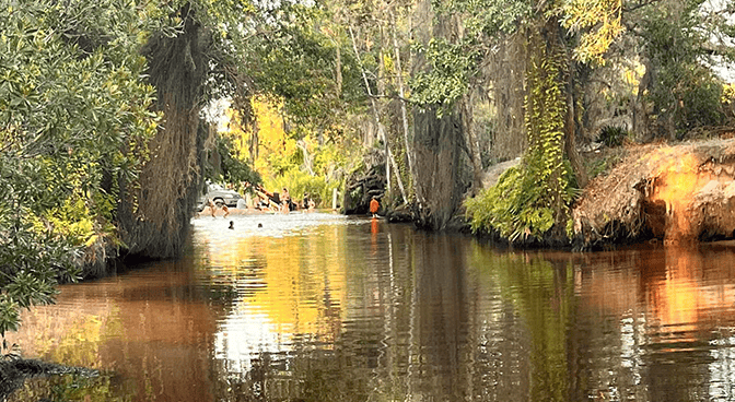 Scenic waterway with Spanish moss in Holopaw