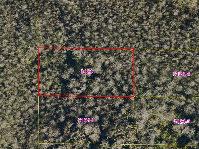 Property appraiser map showing parcel 08-27-32-0000-3124-0000 in Suburban Estates, Holopaw