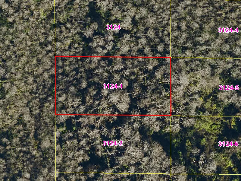 Property appraiser map showing parcel 08-27-32-0000-3124-0010 in Suburban Estates, Holopaw
