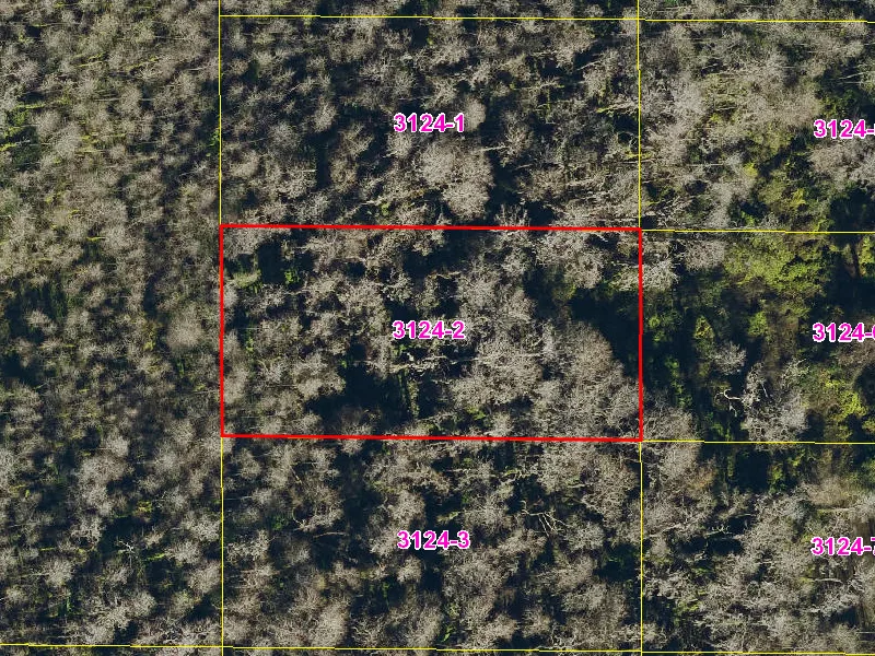 Property appraiser map showing parcel 08-27-32-0000-3124-0020 in Suburban Estates, Holopaw