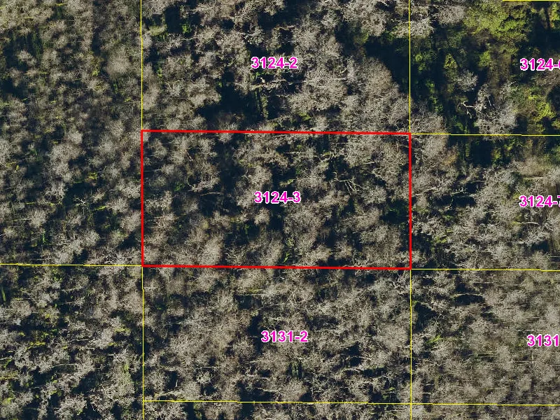 Property appraiser map showing parcel 08-27-32-0000-3124-0030 in Suburban Estates, Holopaw