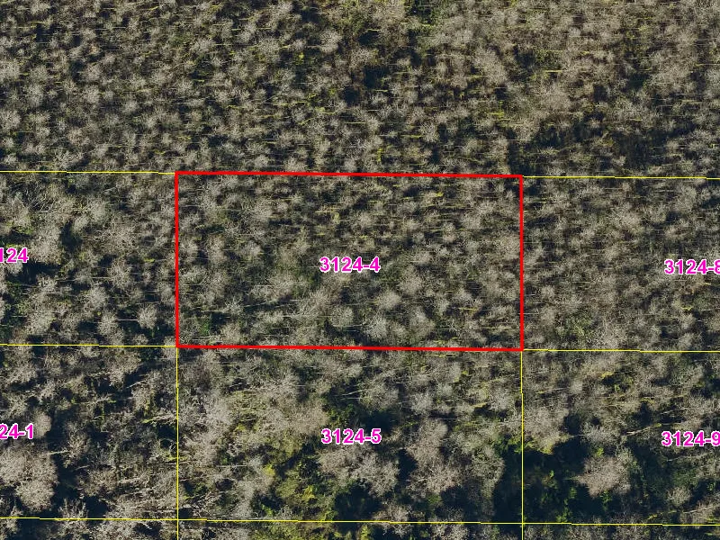 Property appraiser map showing parcel 08-27-32-0000-3124-0040 in Suburban Estates, Holopaw