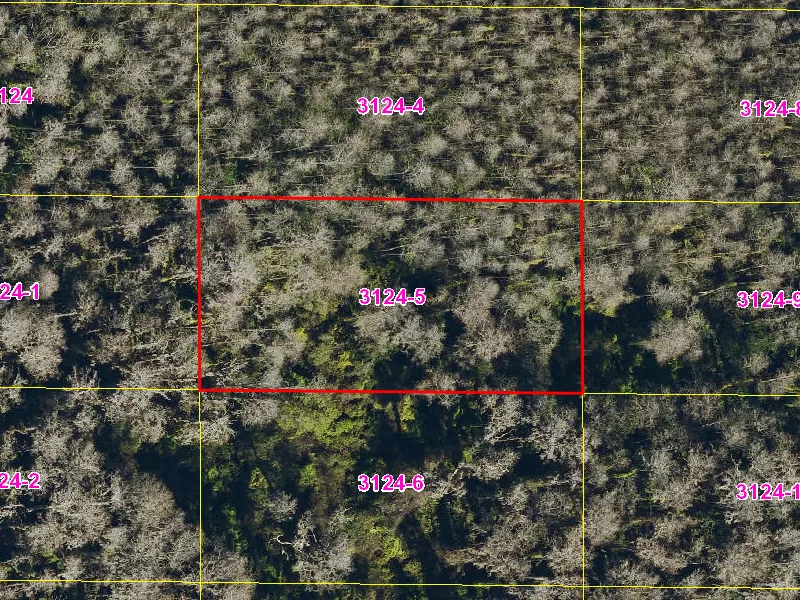Property appraiser map showing parcel 08-27-32-0000-3124-0050 in Suburban Estates, Holopaw