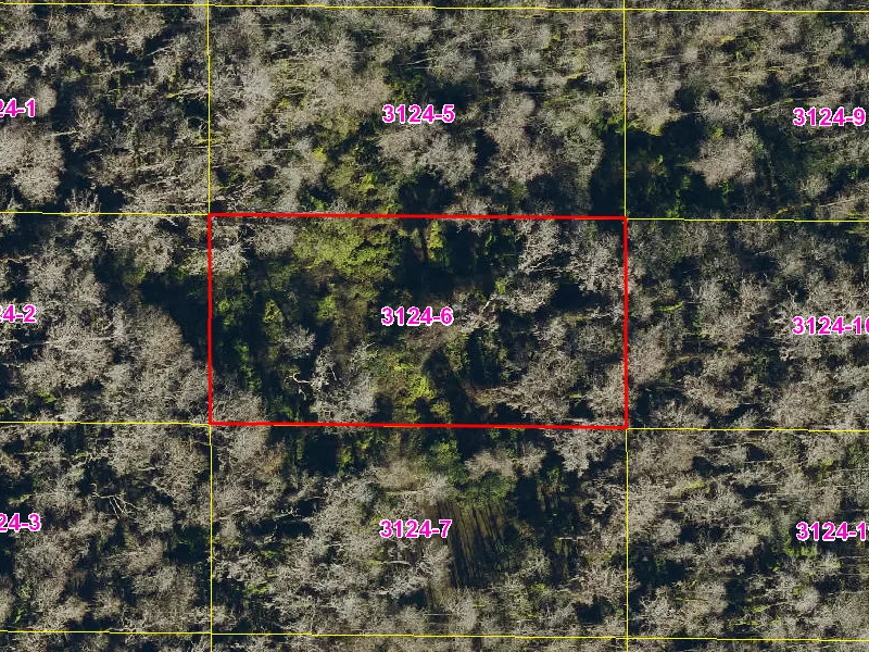 Property appraiser map showing parcel 08-27-32-0000-3124-0060 in Suburban Estates, Holopaw
