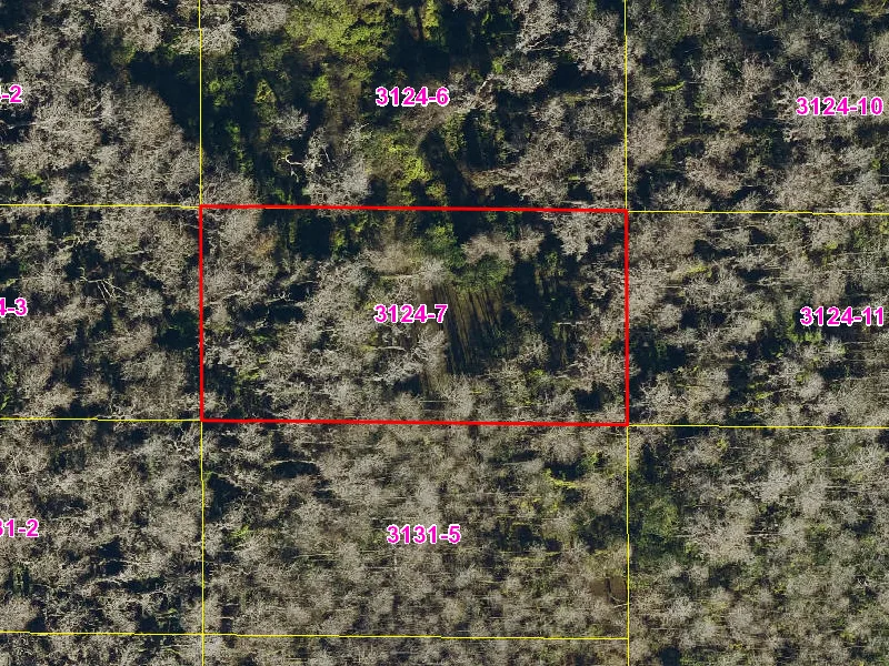 Property appraiser map showing parcel 08-27-32-0000-3124-0070 in Suburban Estates, Holopaw