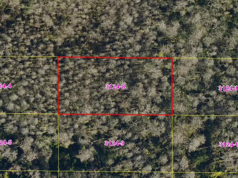Property appraiser map showing parcel 08-27-32-0000-3124-0080 in Suburban Estates, Holopaw
