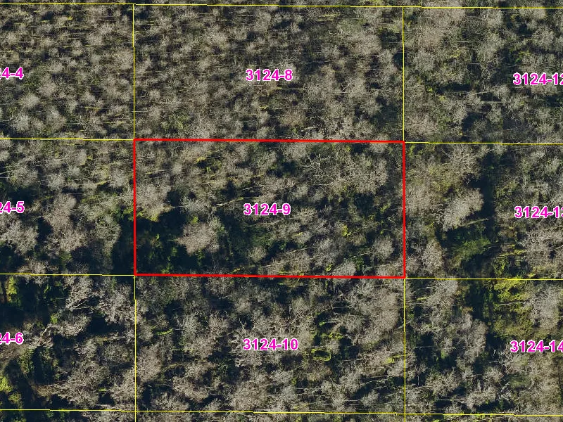 Property appraiser map showing parcel 08-27-32-0000-3124-0090 in Suburban Estates, Holopaw