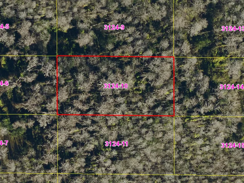 Property appraiser map showing parcel 08-27-32-0000-3124-0100 in Suburban Estates, Holopaw
