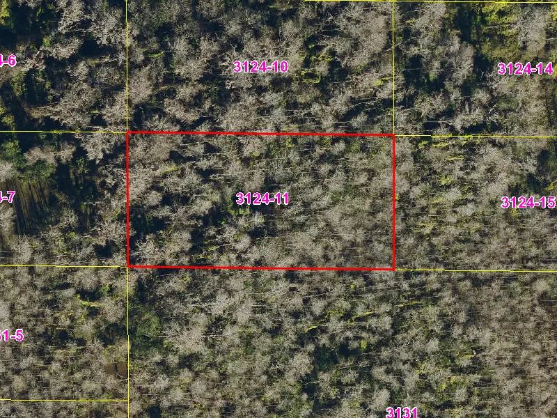 Property appraiser map showing parcel 08-27-32-0000-3124-0110 in Suburban Estates, Holopaw