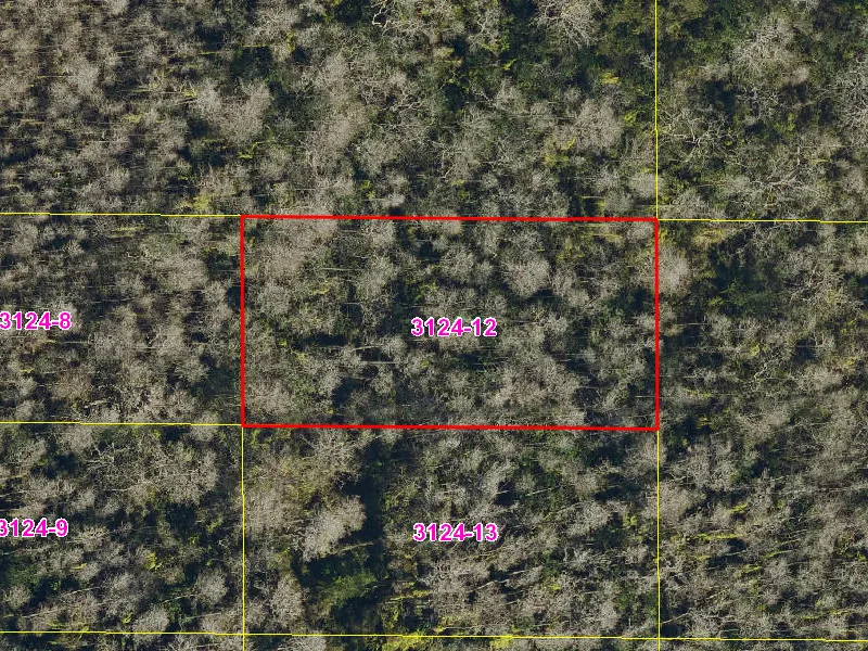 Property appraiser map showing parcel 08-27-32-0000-3124-0120 in Suburban Estates, Holopaw