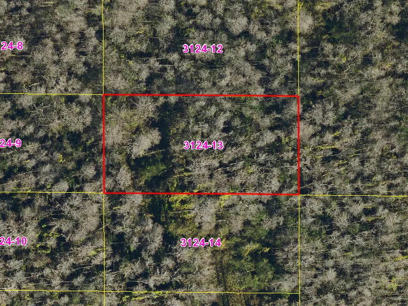 Property appraiser map showing parcel 08-27-32-0000-3124-0130 in Suburban Estates, Holopaw
