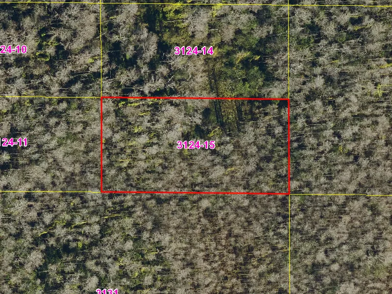 Property appraiser map showing parcel 08-27-32-0000-3124-0150 in Suburban Estates, Holopaw